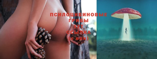 гашик Алзамай