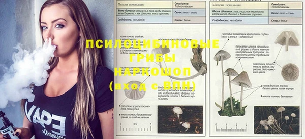 COCAINE Алексеевка
