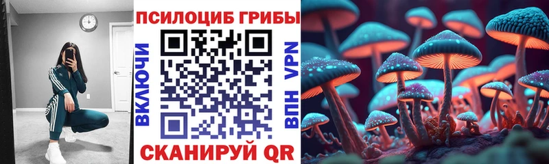 Псилоцибиновые грибы мицелий  мега ссылки  Приморск  закладка 